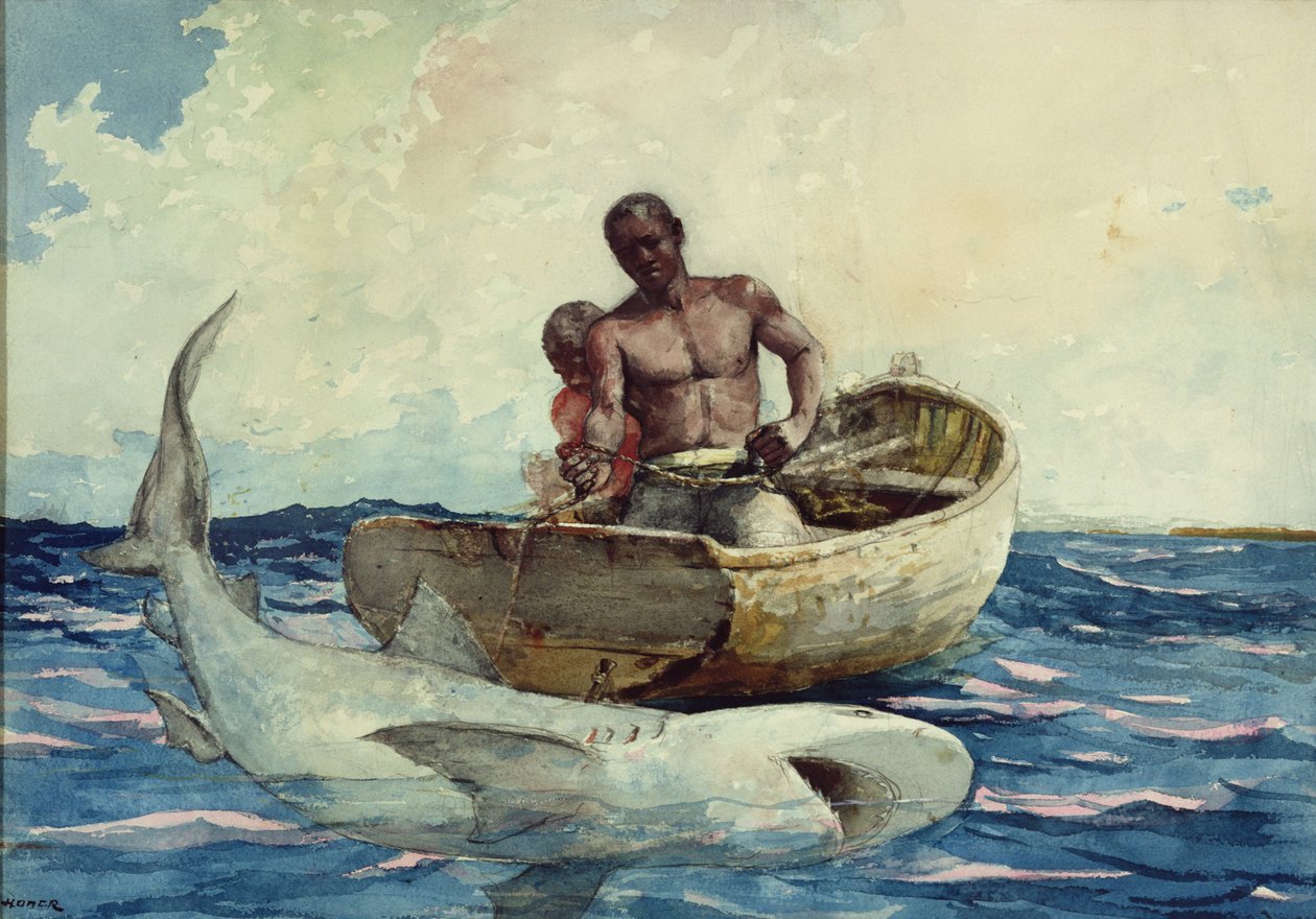 Hajfiskeri, 1885 af Winslow Homer