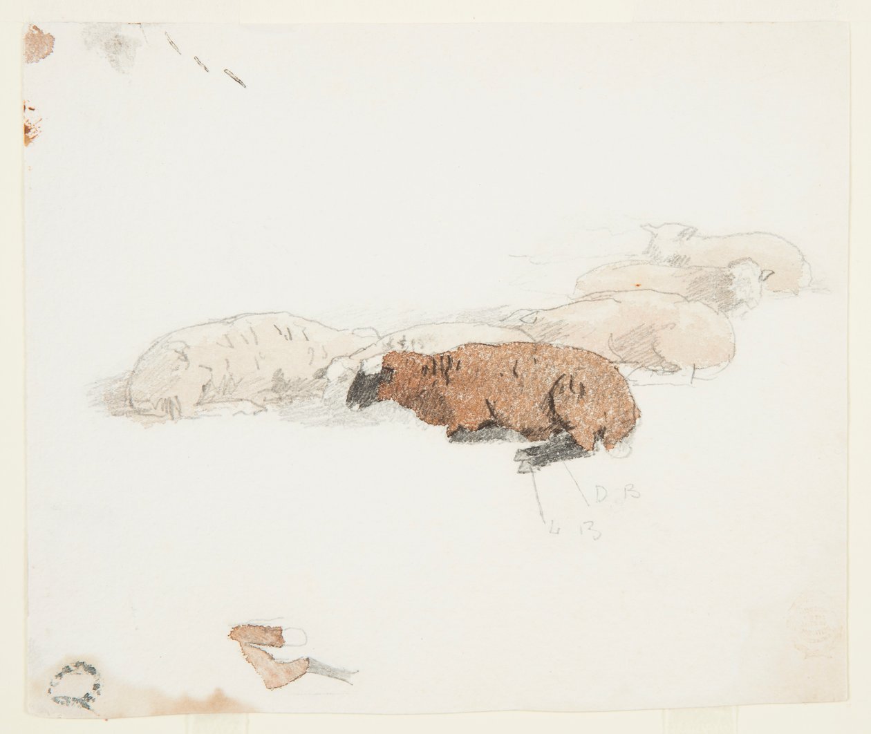 Får hviler af Winslow Homer