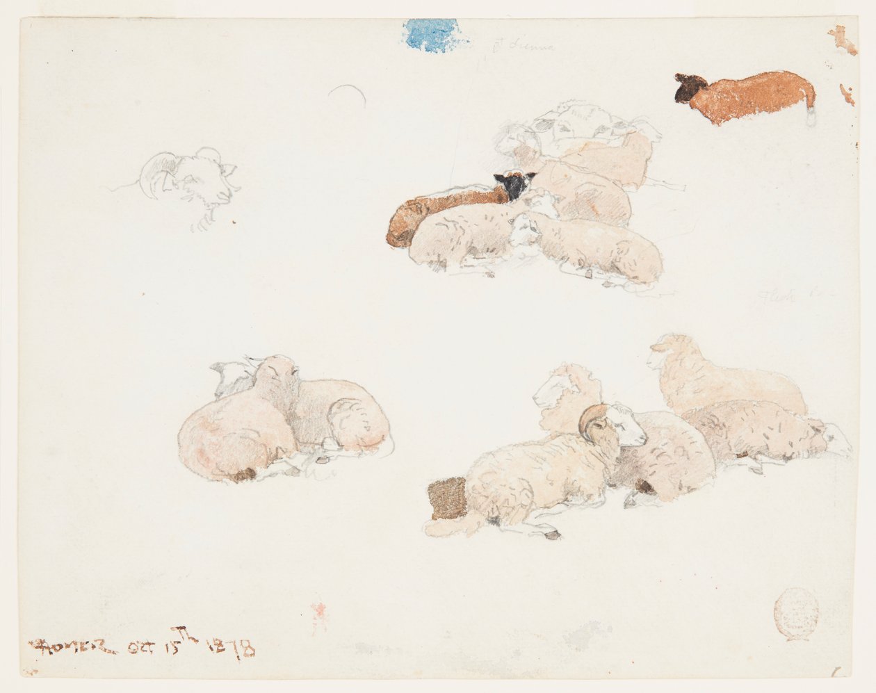 Får hviler af Winslow Homer