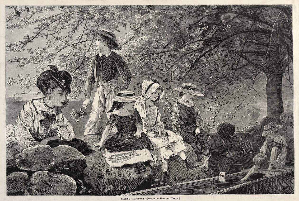 Spring Blossoms, 1870. af Winslow Homer