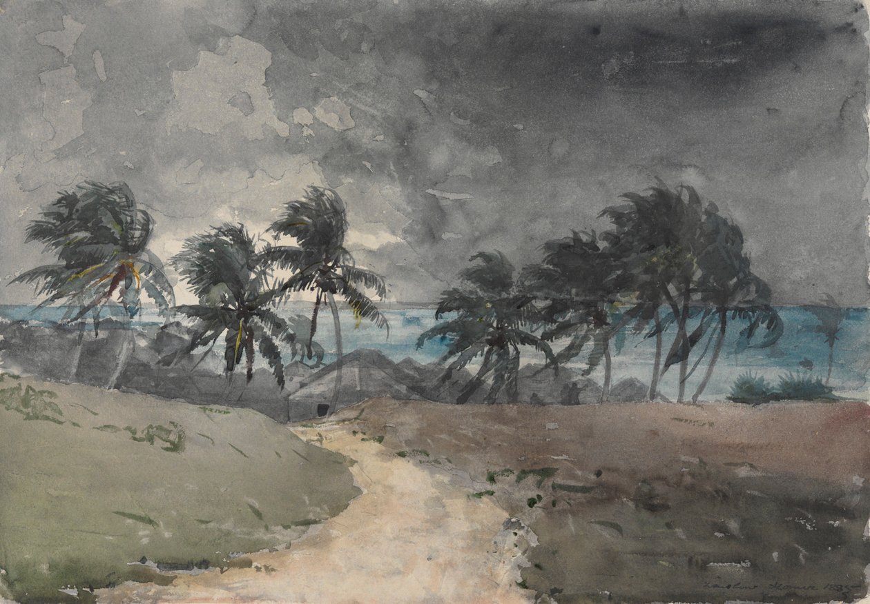 Storm, Bahamas af Winslow Homer