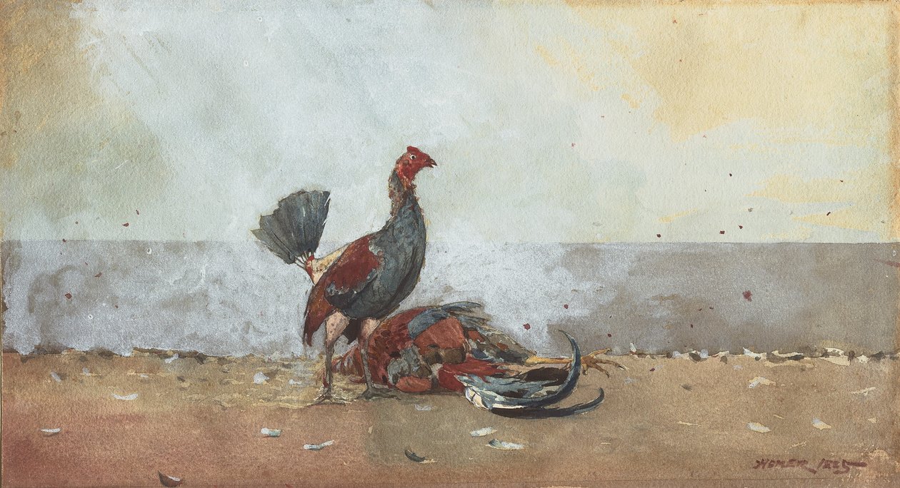 Hanekampen af Winslow Homer