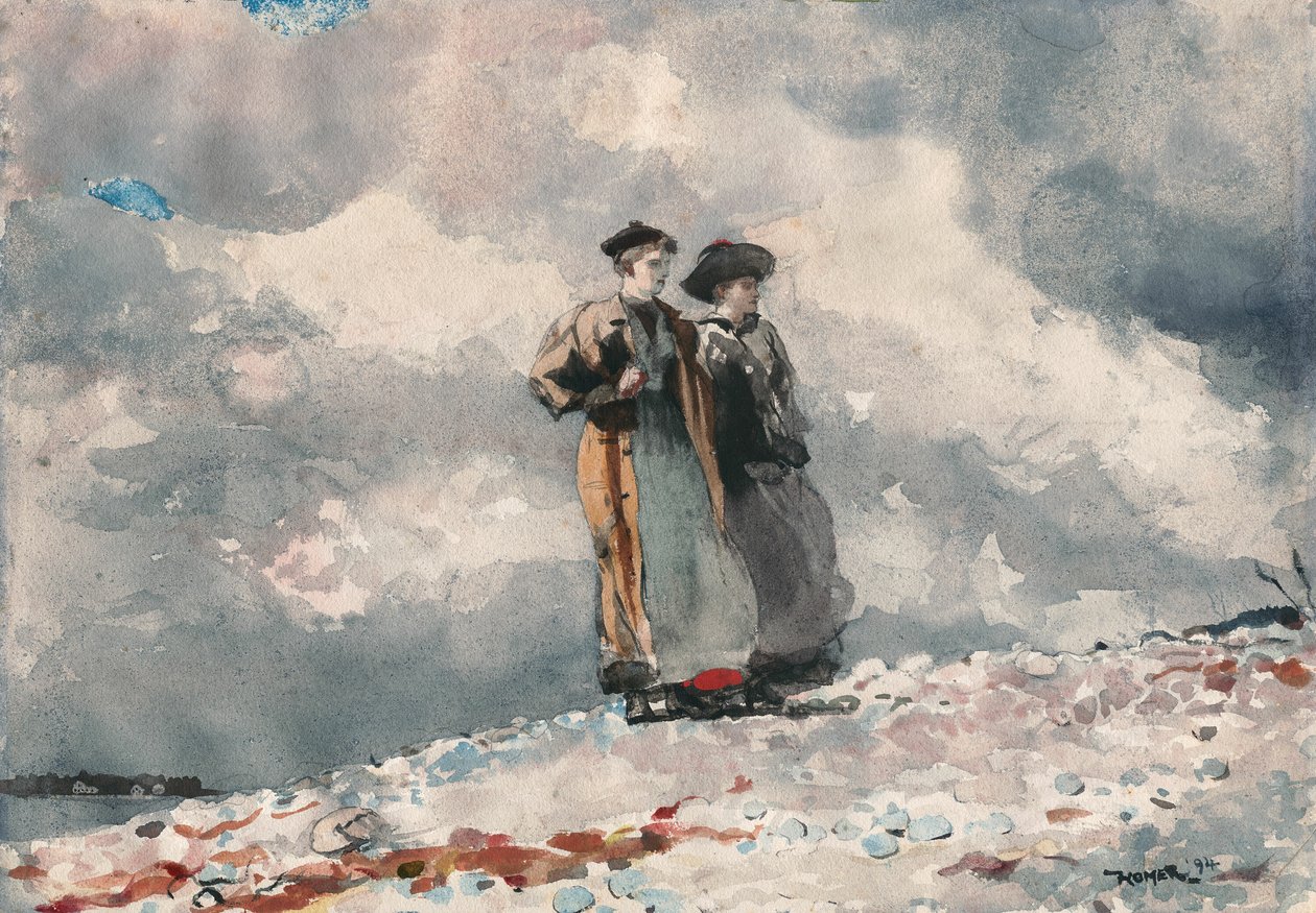 Udsigten, Maine-kysten af Winslow Homer