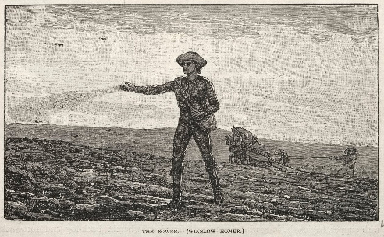 Sædemanden af Winslow Homer