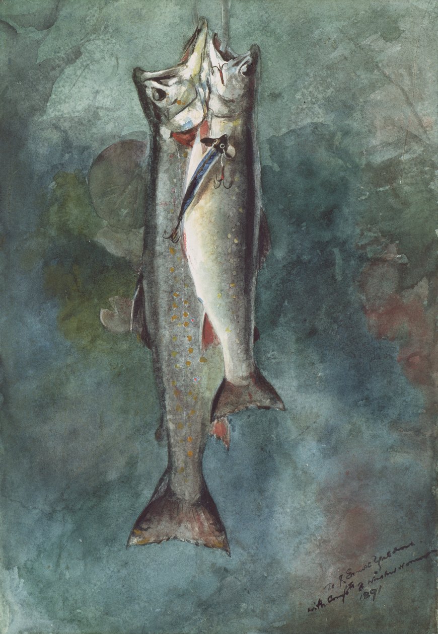 To ørreder, 1891 (wc på papir) af Winslow Homer