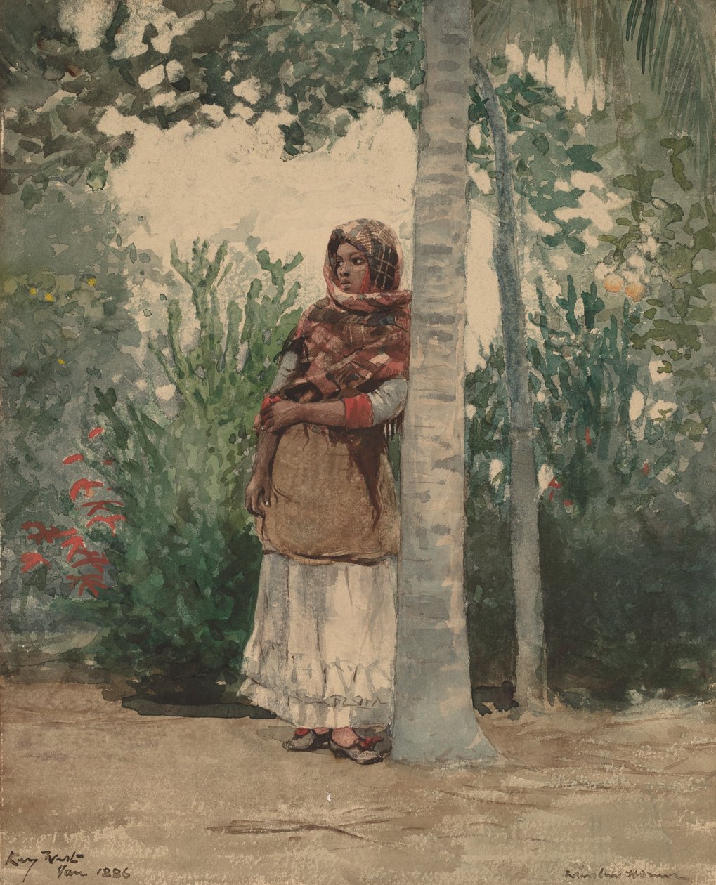 Under et palmetræ, 1886. af Winslow Homer