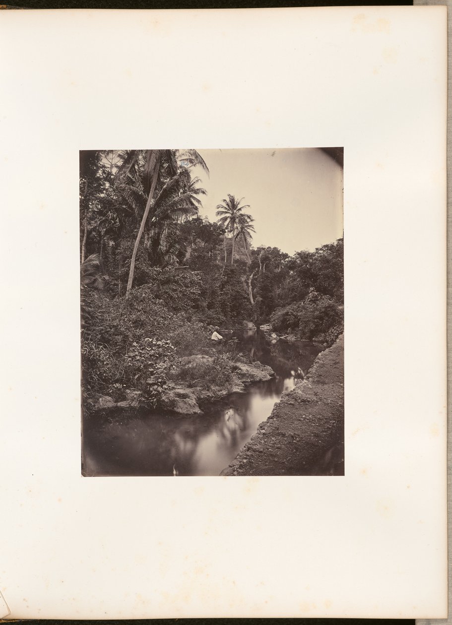 [Flod ved Kupang] af Woodbury and Page