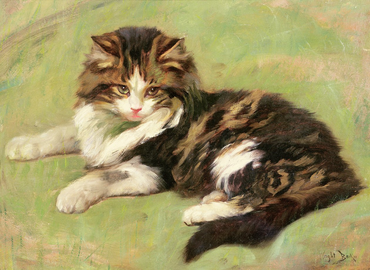 I hvile af Wright Barker
