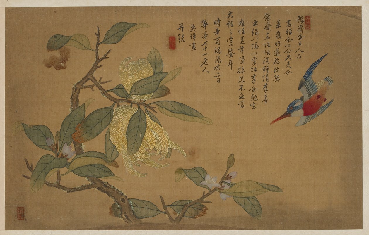 Fugl, frugt og blomster af Wu Zhang