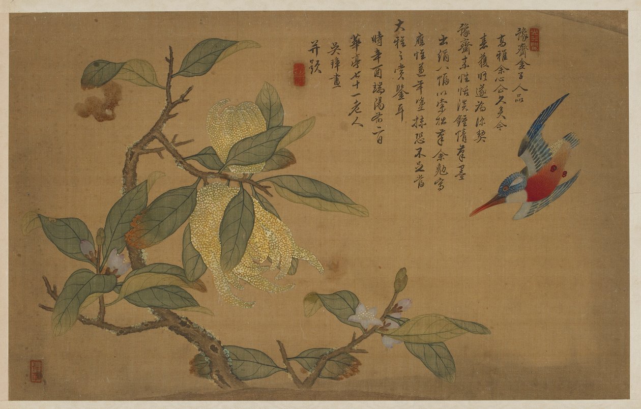 Fugl, frugt og blomster, Qing-dynastiet, 1741. af Wu Zhang