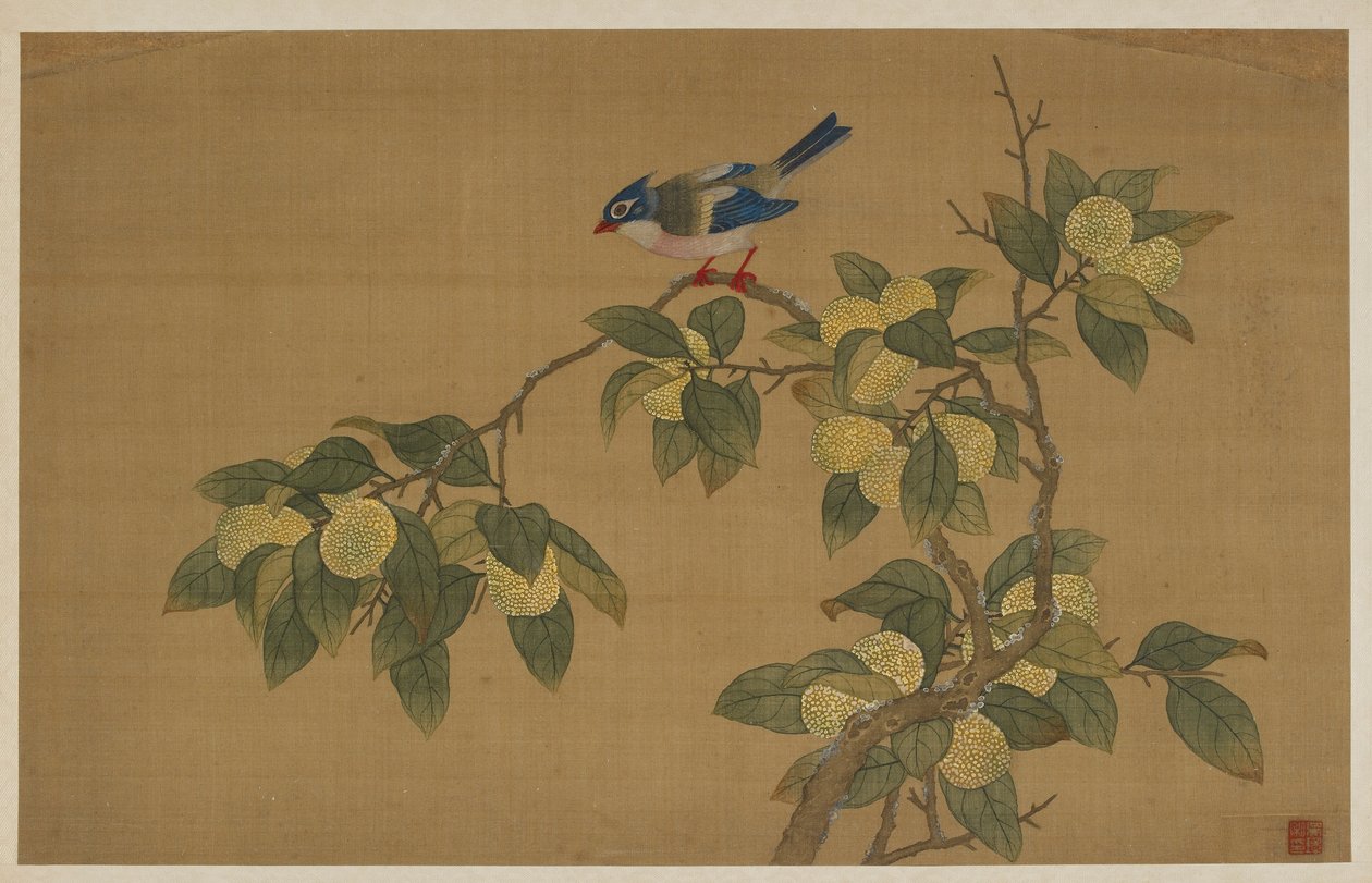 Fugl og Frugt af Wu Zhang