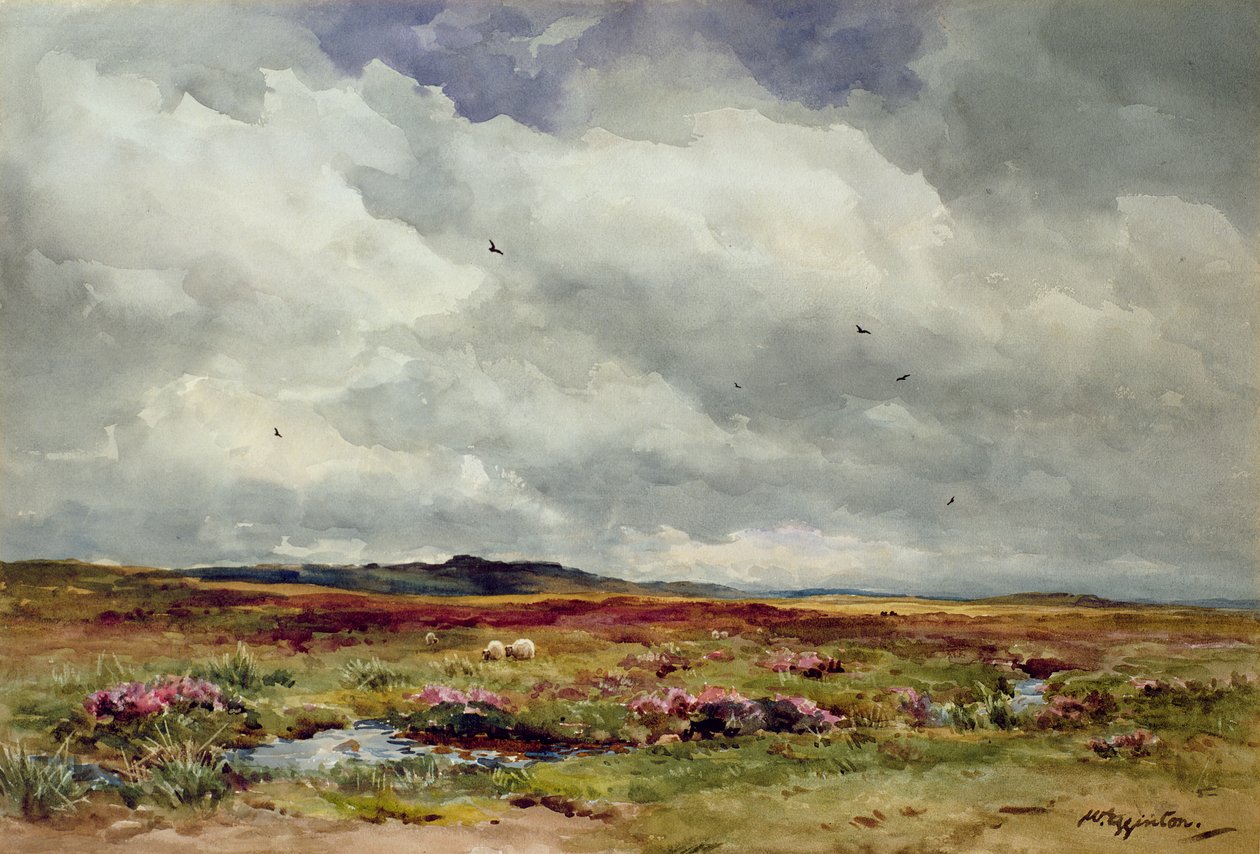 En blæsende dag, Dartmoor af Wycliffe Egginton