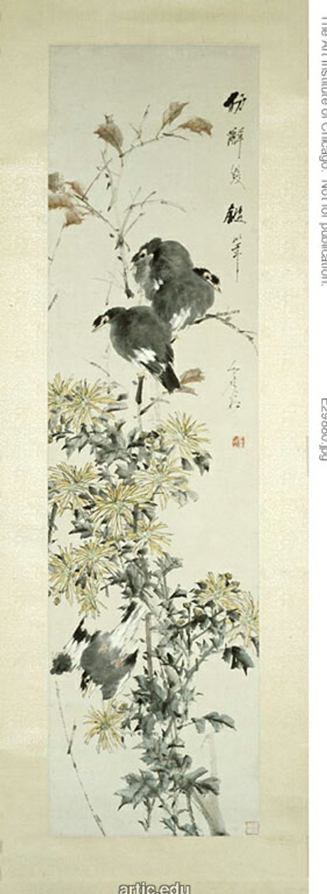 Crested Myna Fugle og krysantemum af Xugu