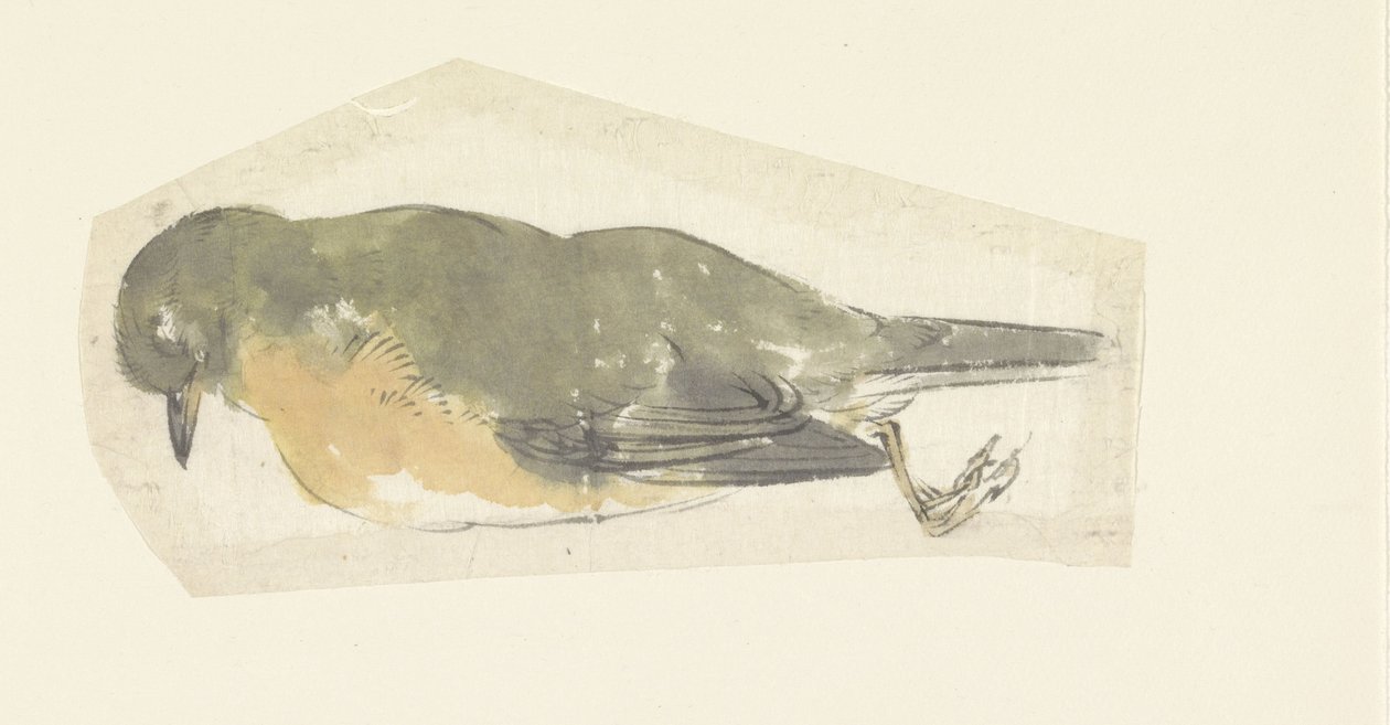 død robin af Yamamoto Shinryo Baiitsu