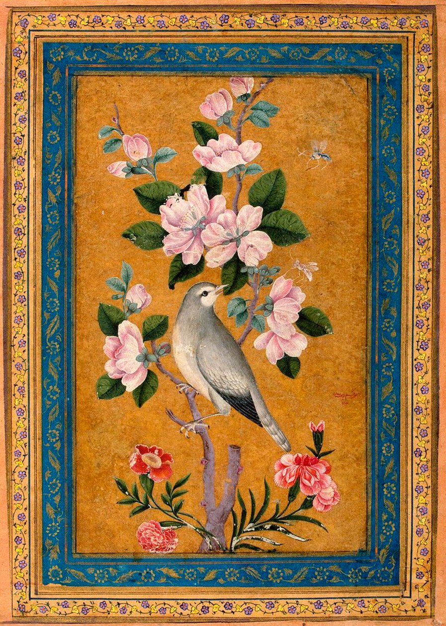 Fugl, der sidder på en blomstrende gren, 1696. af Yusuf Zaman