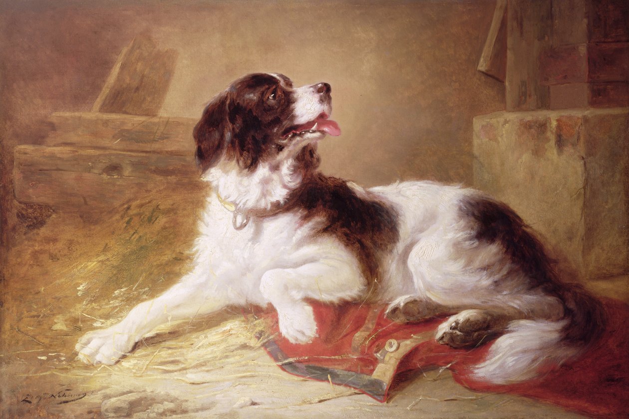 Portræt af en spaniel af Zacharias Noterman
