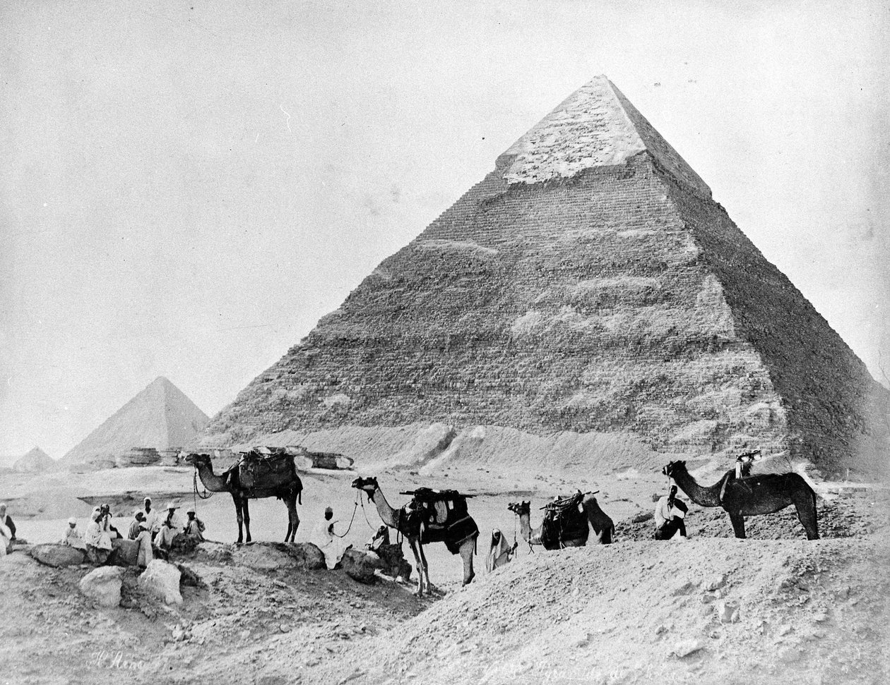 En karavane af kameler foran pyramiderne i Giza, slutningen af 1870