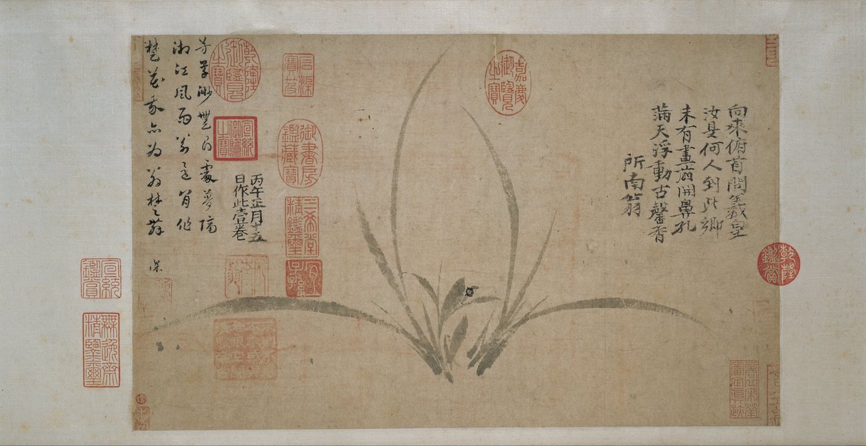 Orkidé af Zheng Sixiao