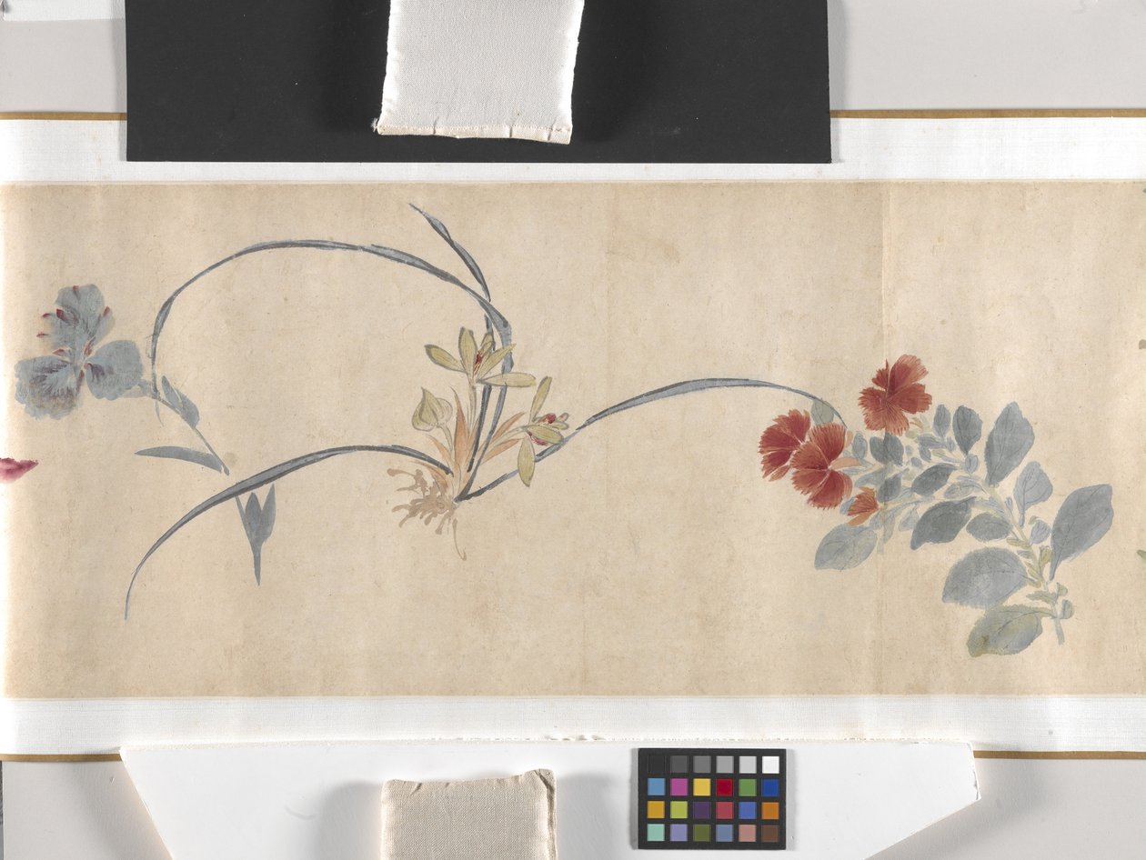 Farvede blomster af Zhimian Zhou