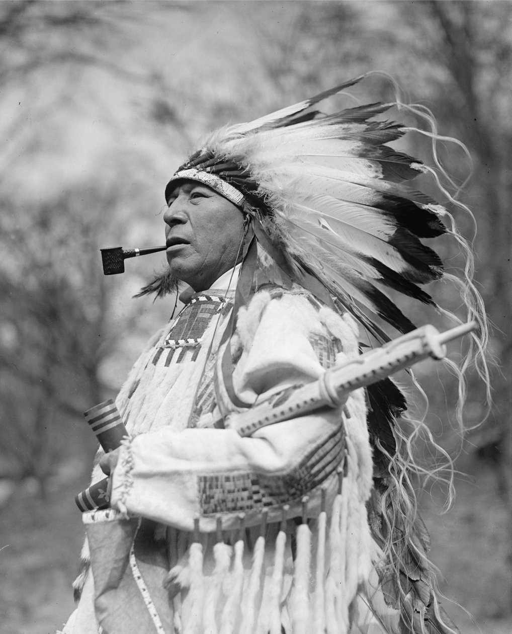 Chief Whirlwind Soldier fra Rosebud Reservation af . .