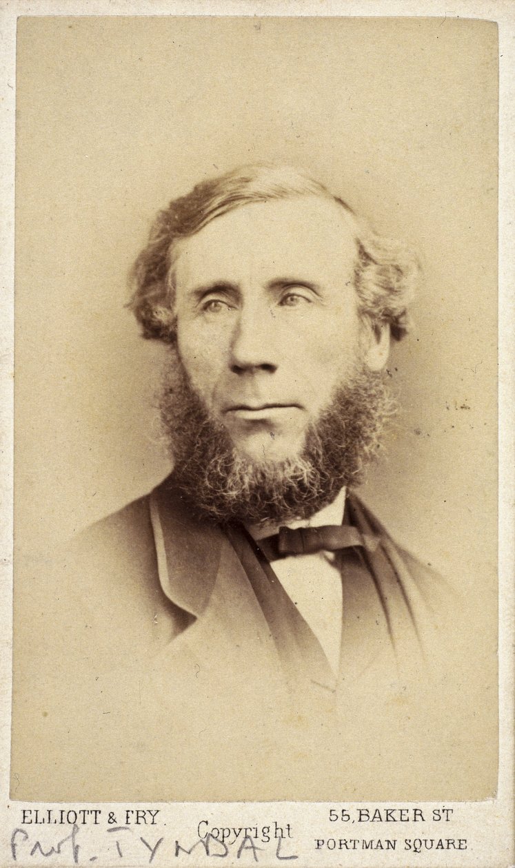 John Tyndall, irsk fysiker, c 1875 af Frederick (attr. to) Barnard