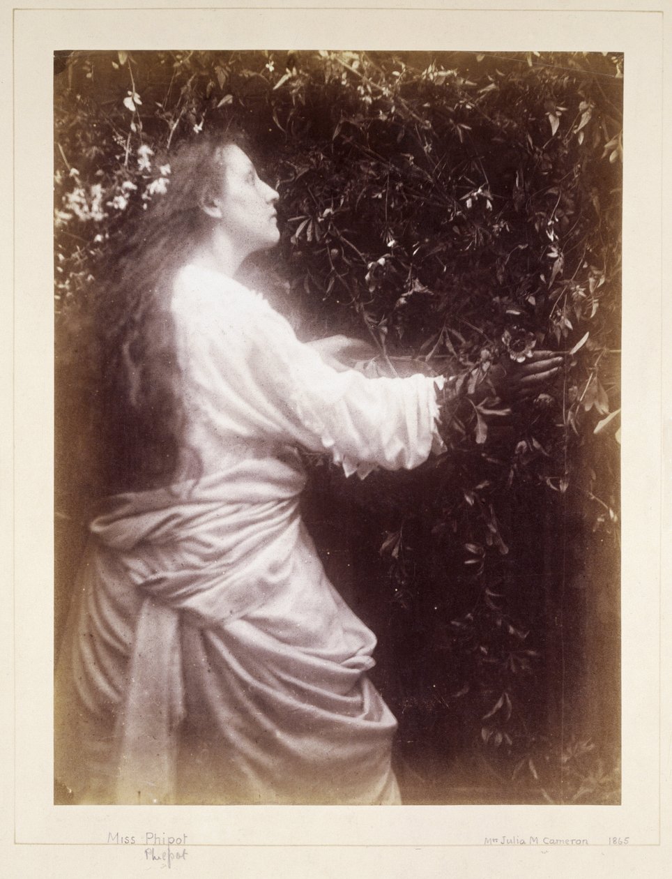 Mary Hillier, c 1865 af John Pardon