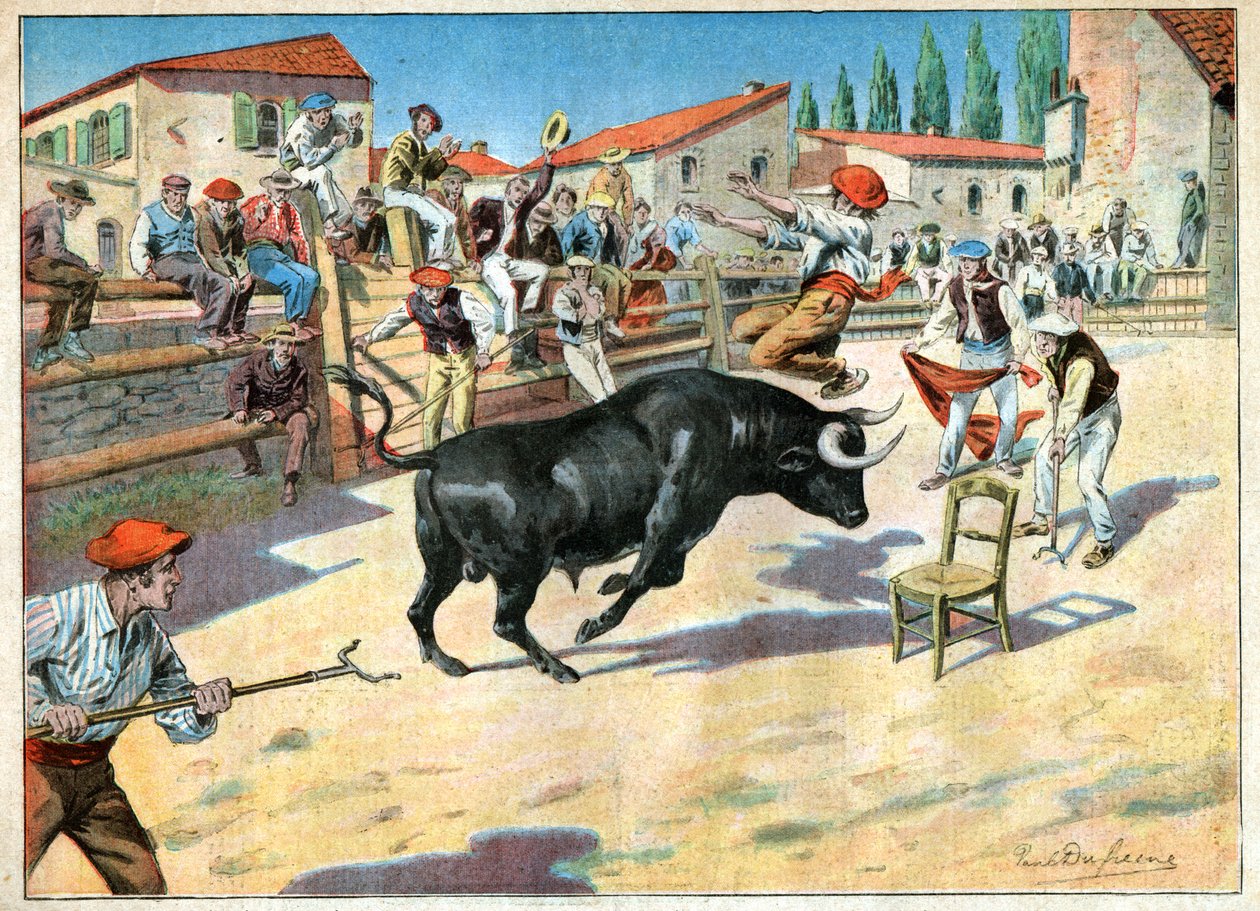 Tyre i Camargue. Tyrefægtning i Camargue. af John Pardon