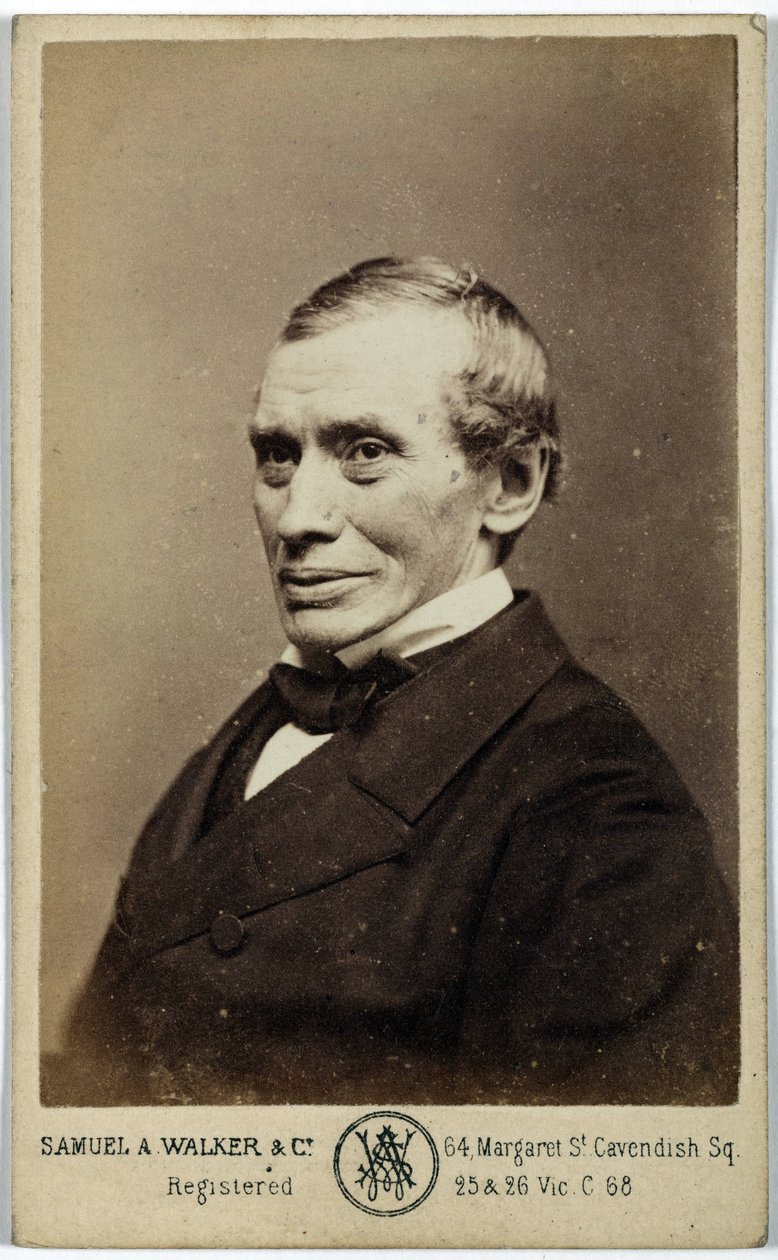 Thomas Graham, skotsk kemiker, c 1870 af Frederick (attr. to) Barnard