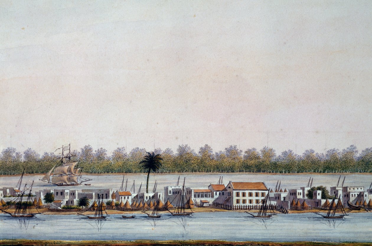 Udsigt over St Louis, Senegal af William Walcutt