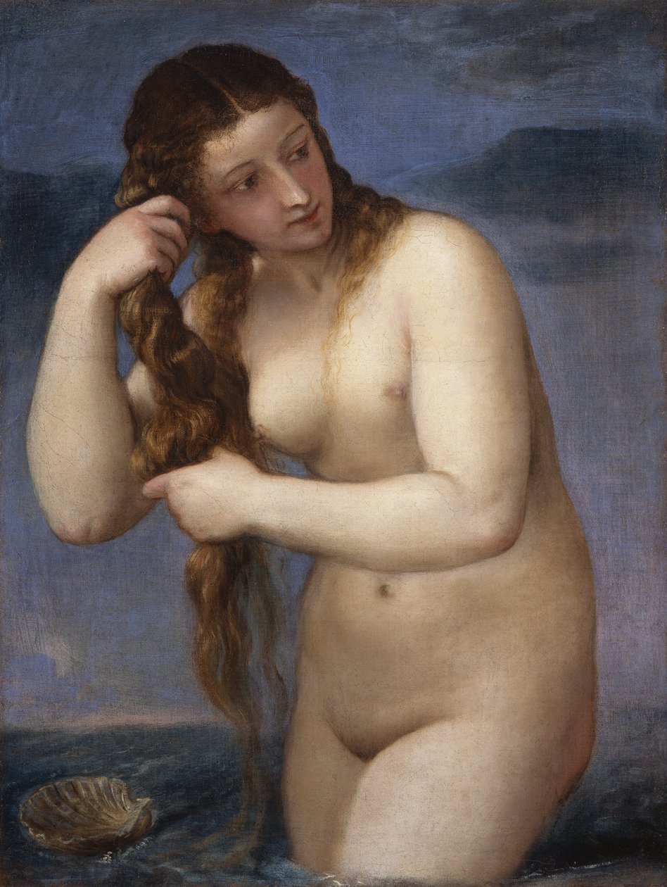 Venus Anadyomene af Tiziano Vecelli