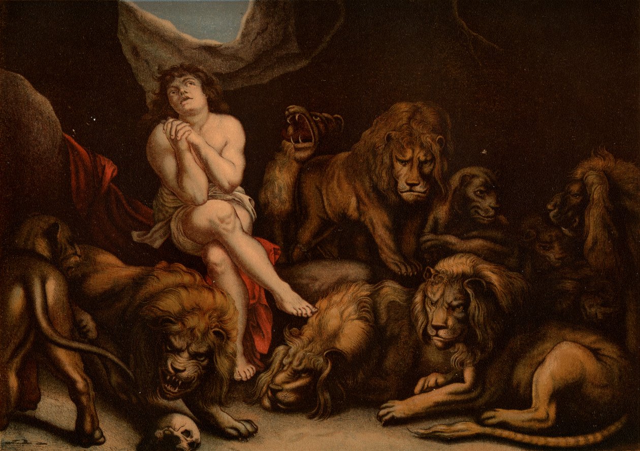 Daniel i Løvehulen af after Peter Paul Rubens