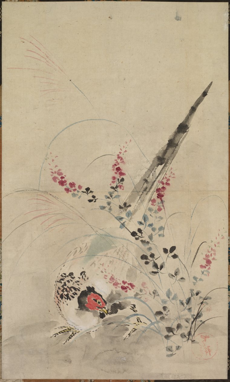 Fasan og græs af attributed to Ogata Kōrin