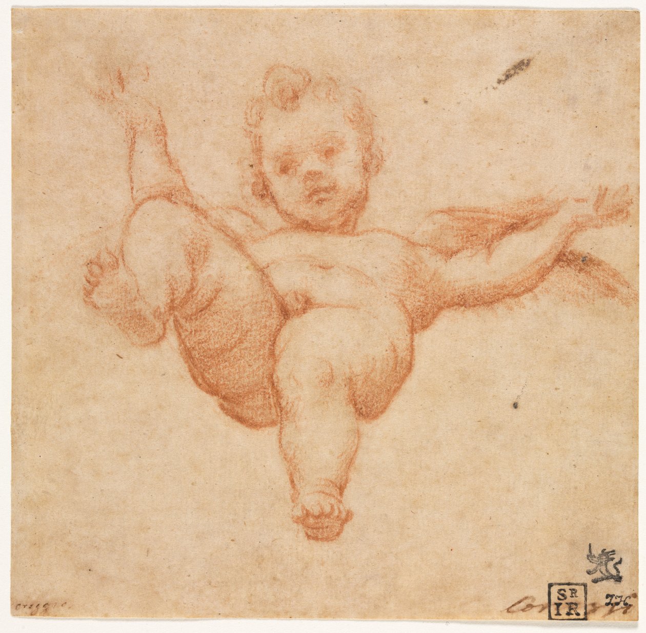 Flyvende Amor af follower of Annibale Carracci