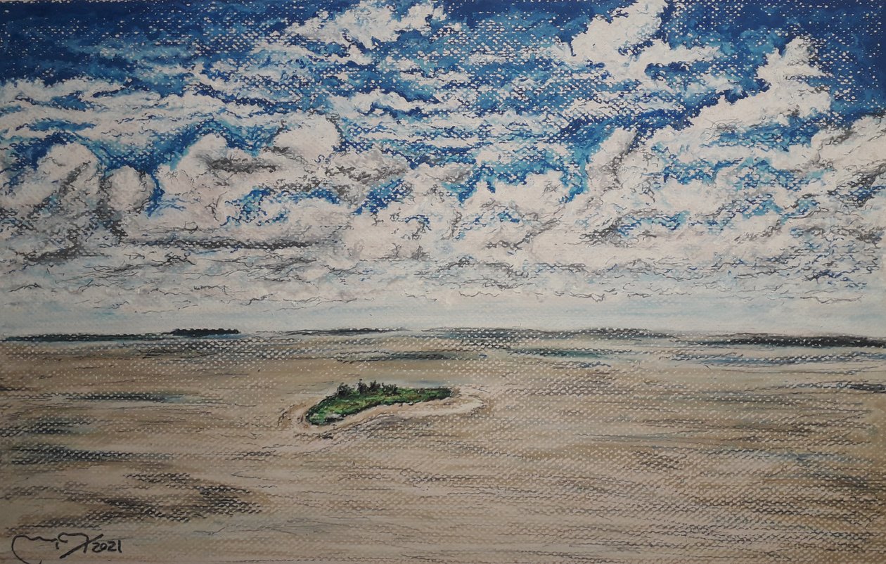 ORINOCO DELTA - BOCA GRANDE af miguelmendez_art.ve