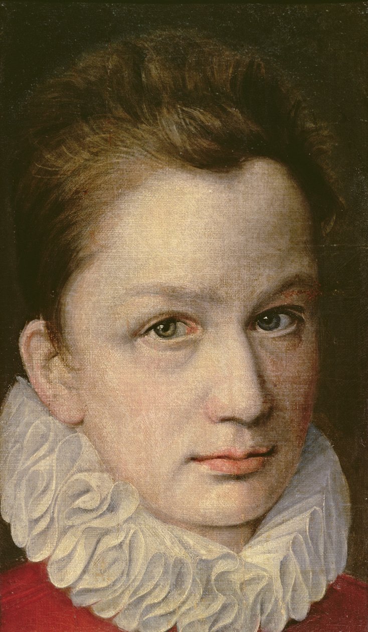 Portræt af en yngling, c.1570-75 af or Dumoustier, Pierre Dumonstier