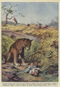 Afrikanske eventyr