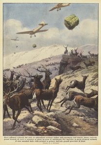 Sultne rådyr tankes fra himlen