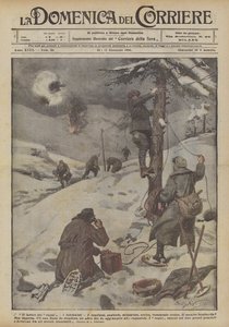 Edderkoppers arbejde