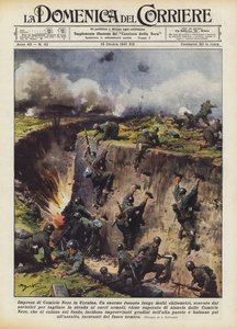 Sorte skjorter Virksomheder i Ukraine