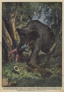 En tragedie i den afrikanske jungle