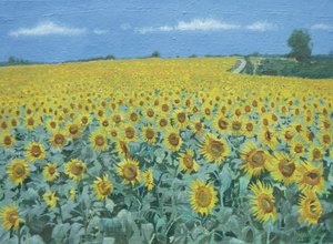 Field of Sunflowers, 2002