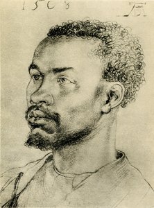 Hovedet af en sort afrikaner