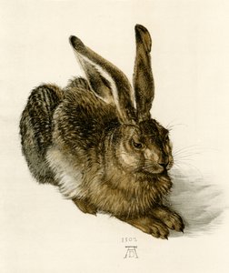 Ung Hare