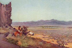 Mirage on the Desert, Arizona (farvet foto)
