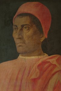 Portræt af kardinal Carlo de Medici