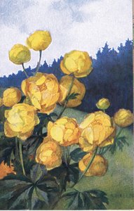Gul blomst, postkort, 1940