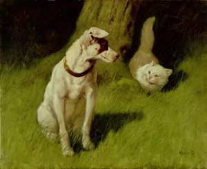 Hvid perserkat og Jack Russell