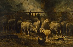 Den store fårefold, 1881