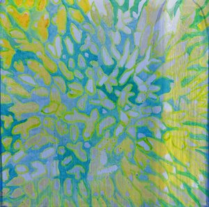 Acrapora, 2000 (olie på gesso)