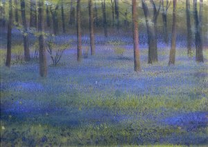 Bluebell Wood (pastel på papir)